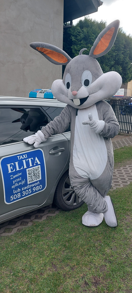 Zdjęcie na okładce dla Taxi ELITA-Ostrów Wielkopolski